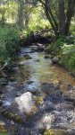 20170604_103718.jpg