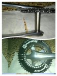 collage-1496662553816.jpg