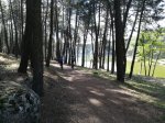 IMG_20170604_101024.jpg