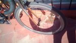 IMG_20170606_175107.jpg