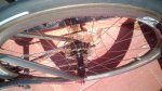 IMG_20170606_175215.jpg
