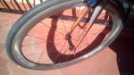 IMG_20170606_175226.jpg