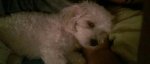 IMG-20170331-WA0002.jpg
