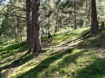 IMG_20170610_105854.jpg
