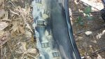 20170610_123151.jpg