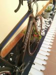 IMG_20170612_152439.jpg
