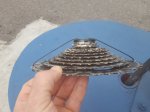 20170612_101023.jpg