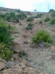 Imagen061.jpg