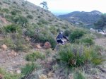 Imagen062.jpg