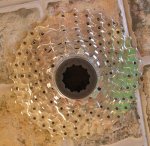 piÃ±on001.jpg