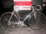 vitus.jpg
