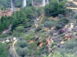 Imagen005as.jpg