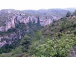 Imagen050as.jpg