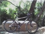 bici.jpg