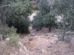 DSCN7231.JPG