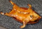 foto_2cochinillo.jpg