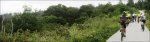Panorama 1.JPG
