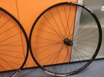IMG_20170616_153139.jpg