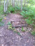 IMG_20170617_204421.jpg