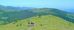DSC_4800_resized_2.JPG