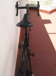 IMG_20170611_133429.jpg