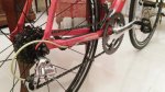 20170618_124227.jpg