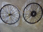 IMG_20170624_125551.jpg