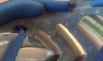 20160811_082958.jpg
