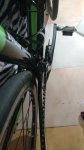 IMG_20170616_183549787.jpg