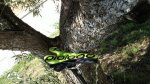 IMG-20170702-WA0018.jpg