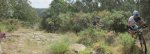 Panorama 5.JPG