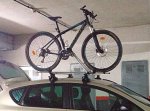 Bici techo.JPG