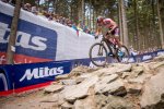 Van der Poel-5.jpg