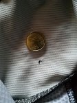 IMG_20170705_181839.jpg