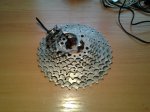 20170707_081528.jpg
