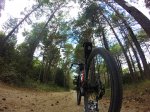 Sequoia pista Caro.jpg