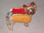 hot-dog.jpg