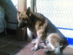Copia de 01112007.jpg