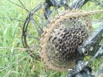 IMG_20170710_172649_989.jpg