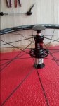20170712_151819.jpg