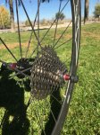 IMG-20170712-WA0029.jpg