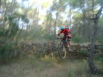 DSC01866.JPG