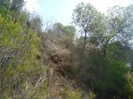 DSC01877.JPG