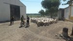 IMG-20170716-WA0093.jpg