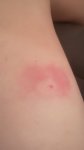 IMG_20170718_180635.jpg