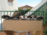 DSC00198.JPG