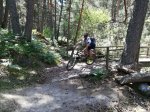 IMG_20170722_130743.jpg