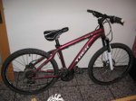 trek-skye-sl-2011-trek-women-24-vel_4c796cf6c_3.jpg