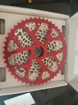 20170725_131030_resized.jpg