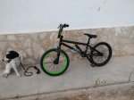 IMG_20170726_193454.jpg